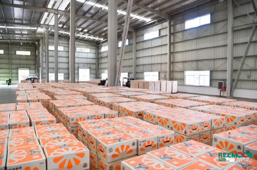 今日寒露，世間萬物都回到了秋天的顏色。“寒露”時節起，雨水漸少，天氣干燥，晝熱夜涼。宜多吃橙子。告訴大家一個好消息，實建褚橙發貨啦！江西綠萌科技控股有限公司為褚橙品質和效率保駕護航！ 從采摘到包裝發貨，一系列認真對待實建褚橙的剪影，好果，都值得好好對待。 褚橙品質 綠萌助力 