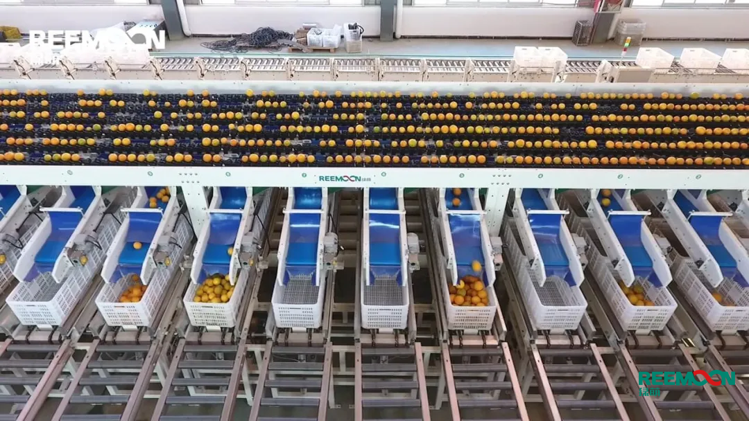 1602556950380589.png 0222C3B5-350D-4548-BD95-B0B719F332FA.png