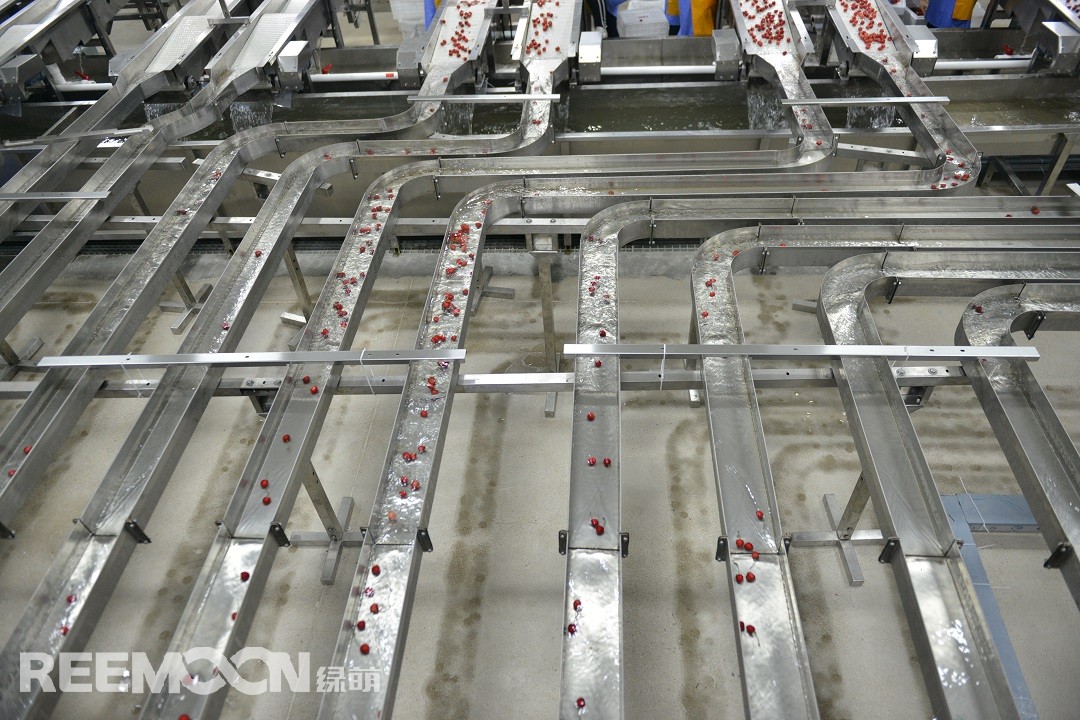 1619171471120095.jpg DSC_3946.JPG