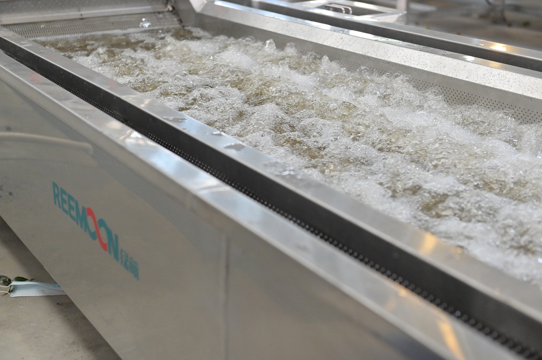 1622537036747794.jpg 入料清洗.JPG