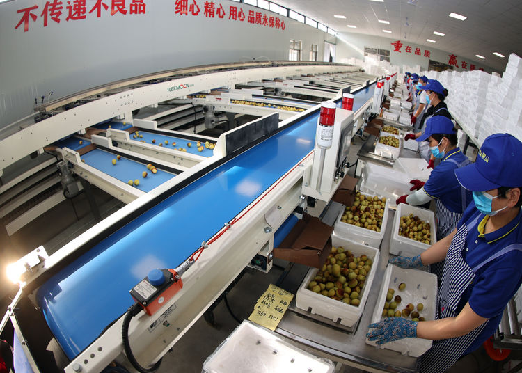 1625102484653148.jpeg 1.jpeg