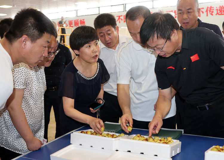 1625102673180641.jpeg 16.jpeg