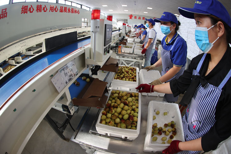 1625102705417896.jpeg 25.jpeg