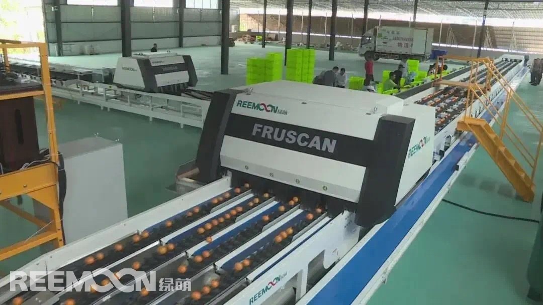 1627633906132843.jpg IMG_5454.JPG