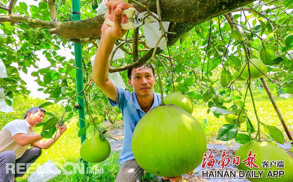 1629082145122736.jpg 1.jpg