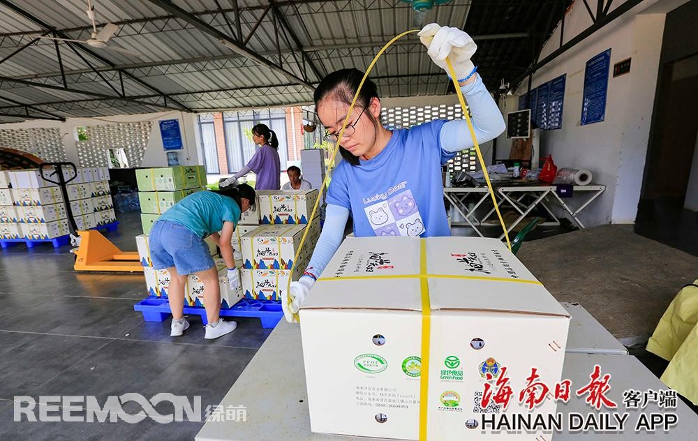 1629082267196301.jpg 3.jpg