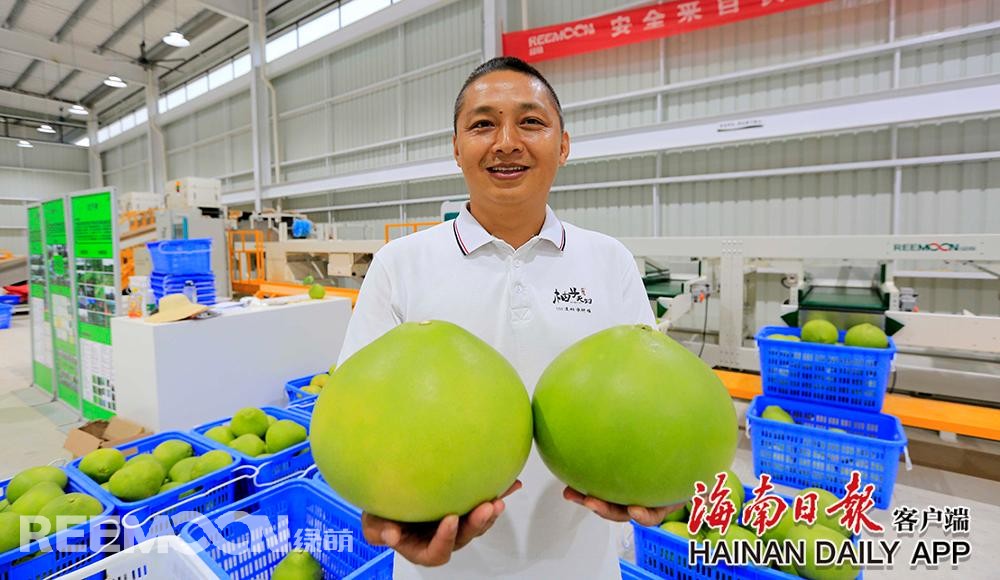 1629082279155504.jpg 4.jpg