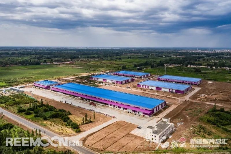 1630488864105337.jpg 3.jpg