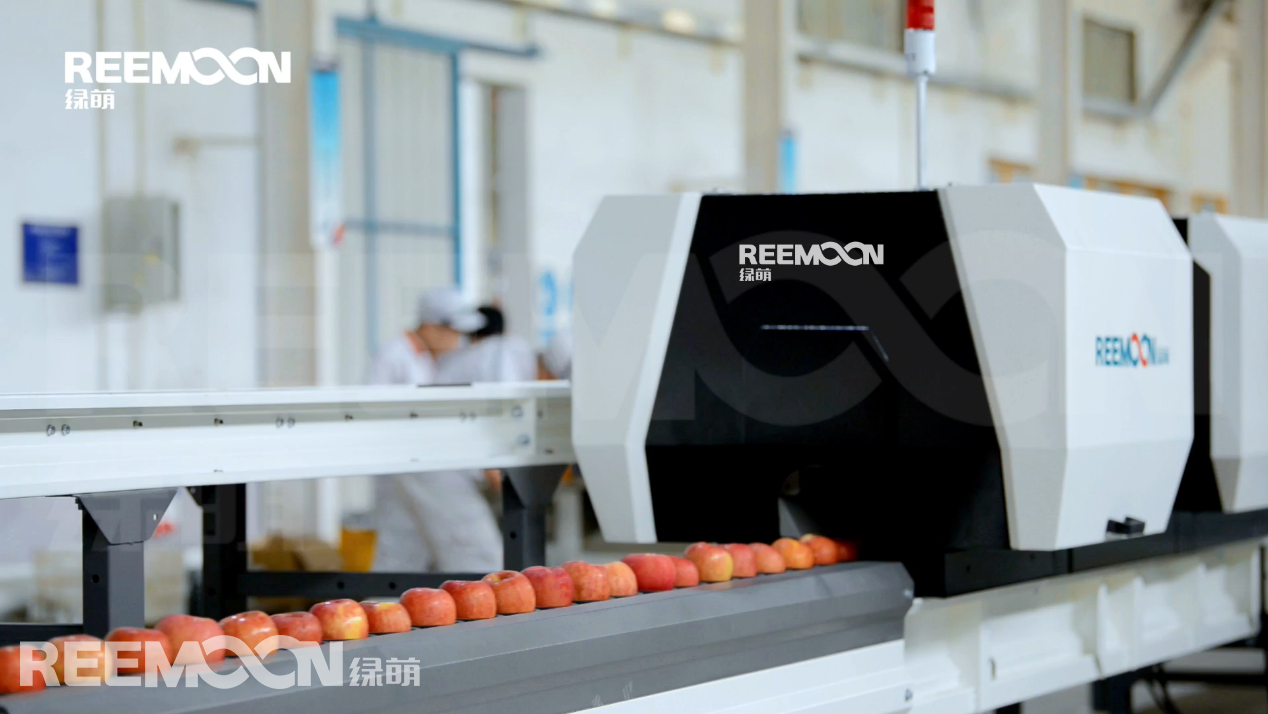 1631088163162371.png 滾筒上料機.png