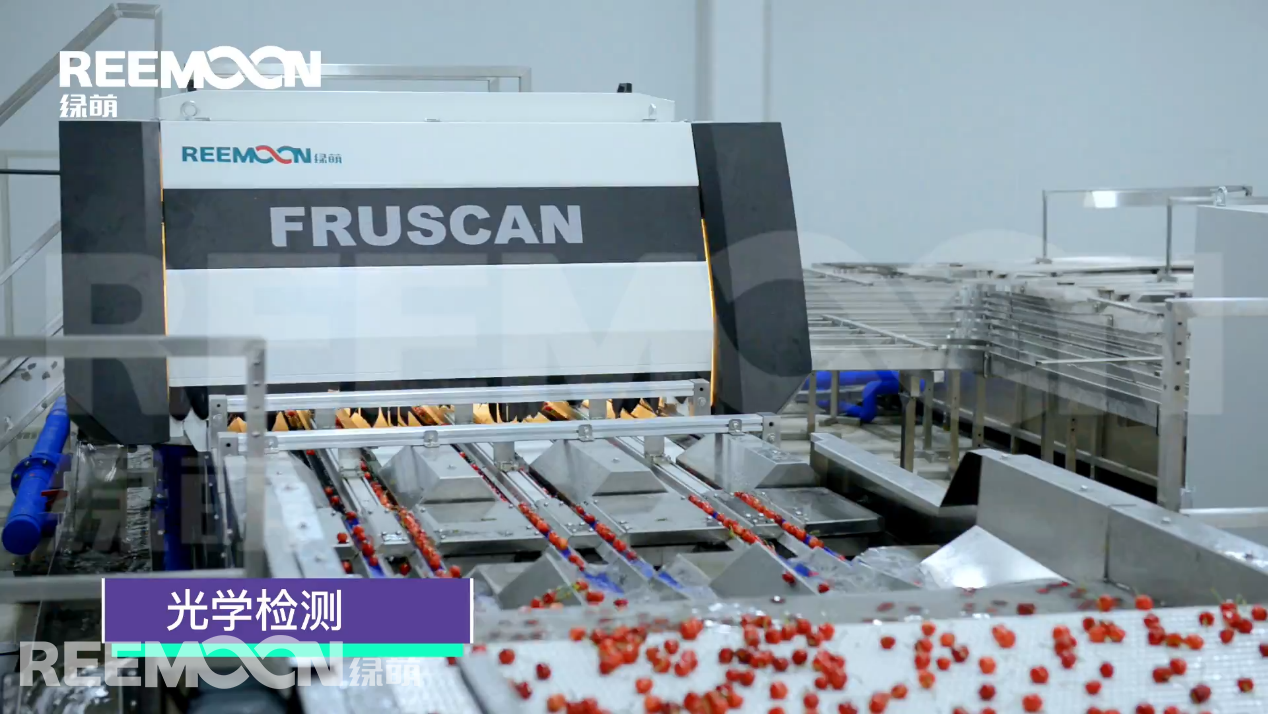 1631088217209783.png 光學檢測系統.png