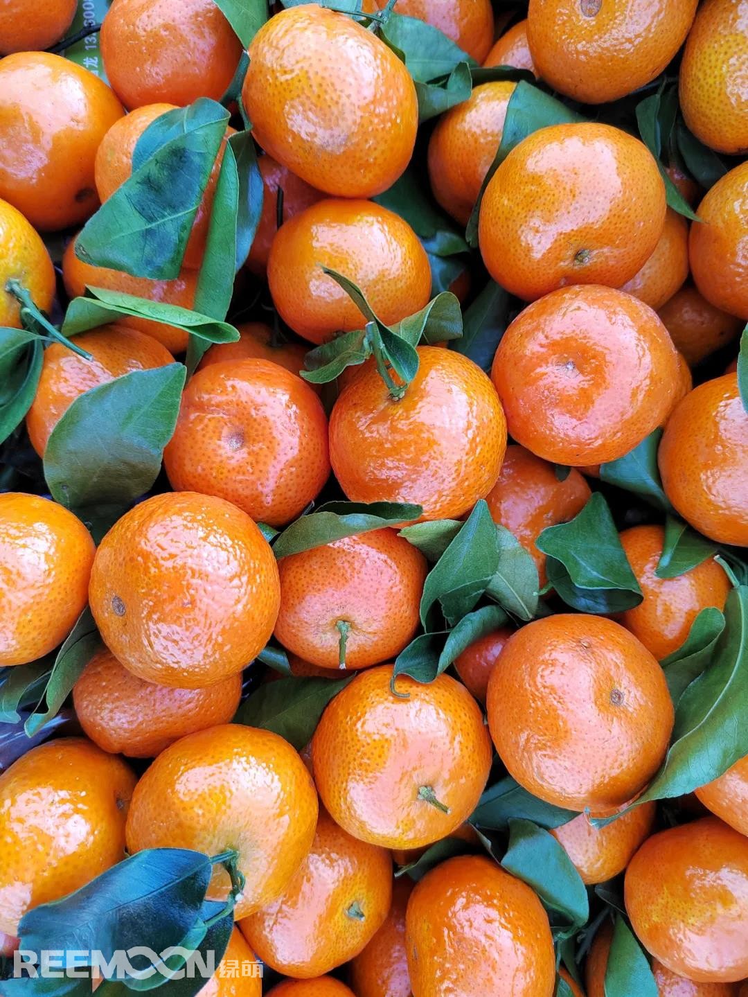 1639707476991532.jpg 2.jpg