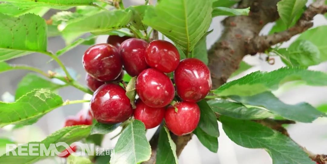 1642819853208965.jpg 3.jpg