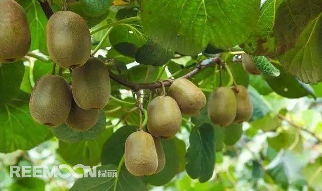 1653441318150511.jpg 1.jpg