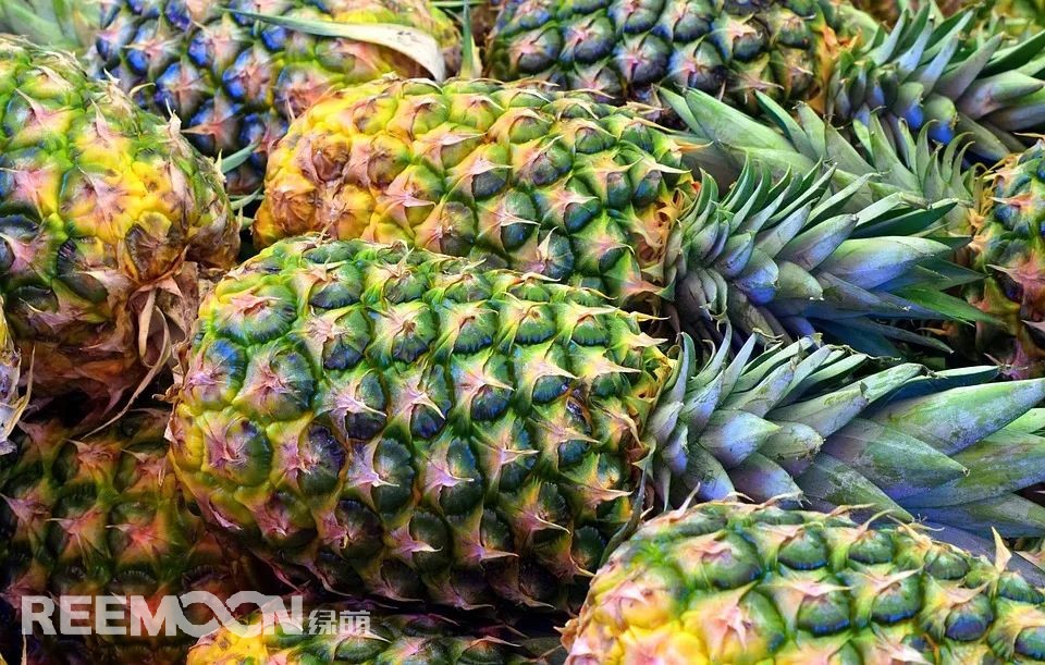 1654487138114660.jpg 1.jpg