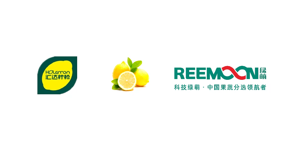 “重慶 匯達 檸檬