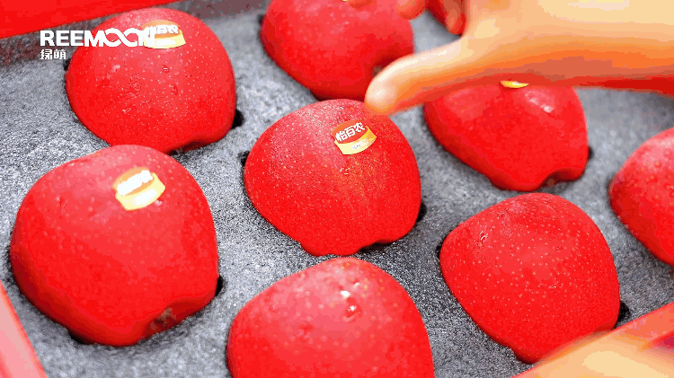 1693645038185096.gif 怡百農(nóng)商品化包裝.gif