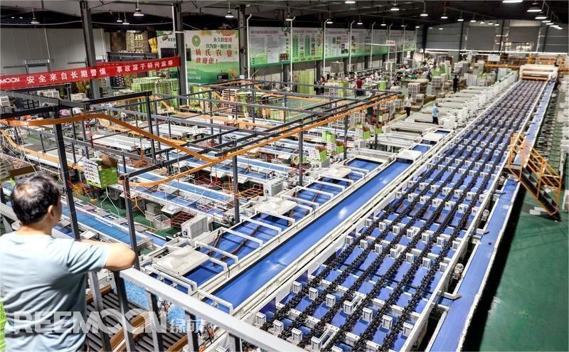 1694505922167975.jpg 6 - 副本.jpg