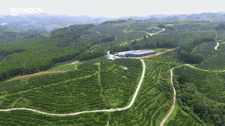 1695202283423332.gif 片頭 .gif