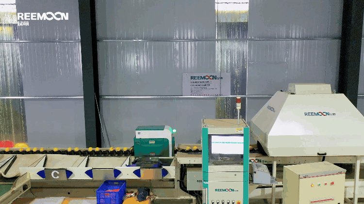 1695202981153009.gif 糖度檢測.gif