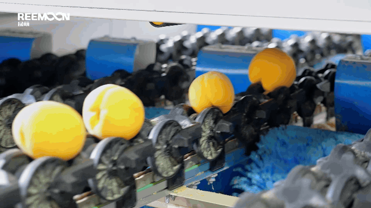 1695202998138700.gif 柔性卸果.gif