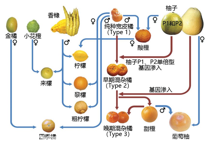 1695872242108780.jpg 1530683005834160.jpg
