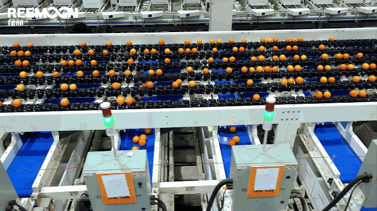 1695872516148757.gif 定量裝箱.gif