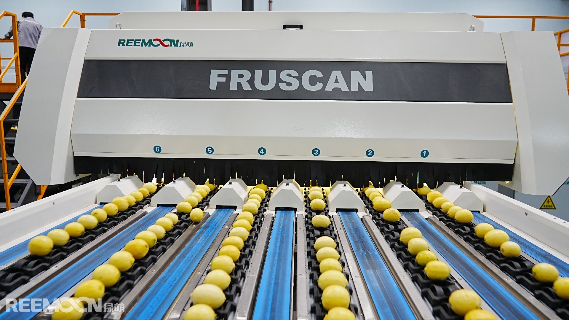 1698463361141894.jpg DSC03288.JPG