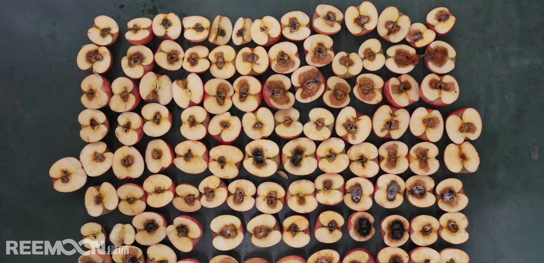 1699326912452283.jpg 1699263895214.jpg